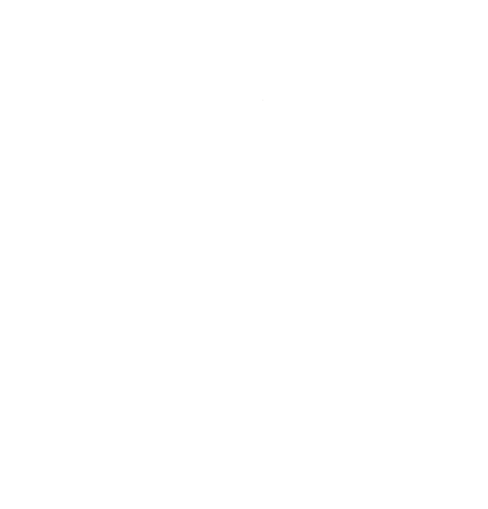 NIC Logo White